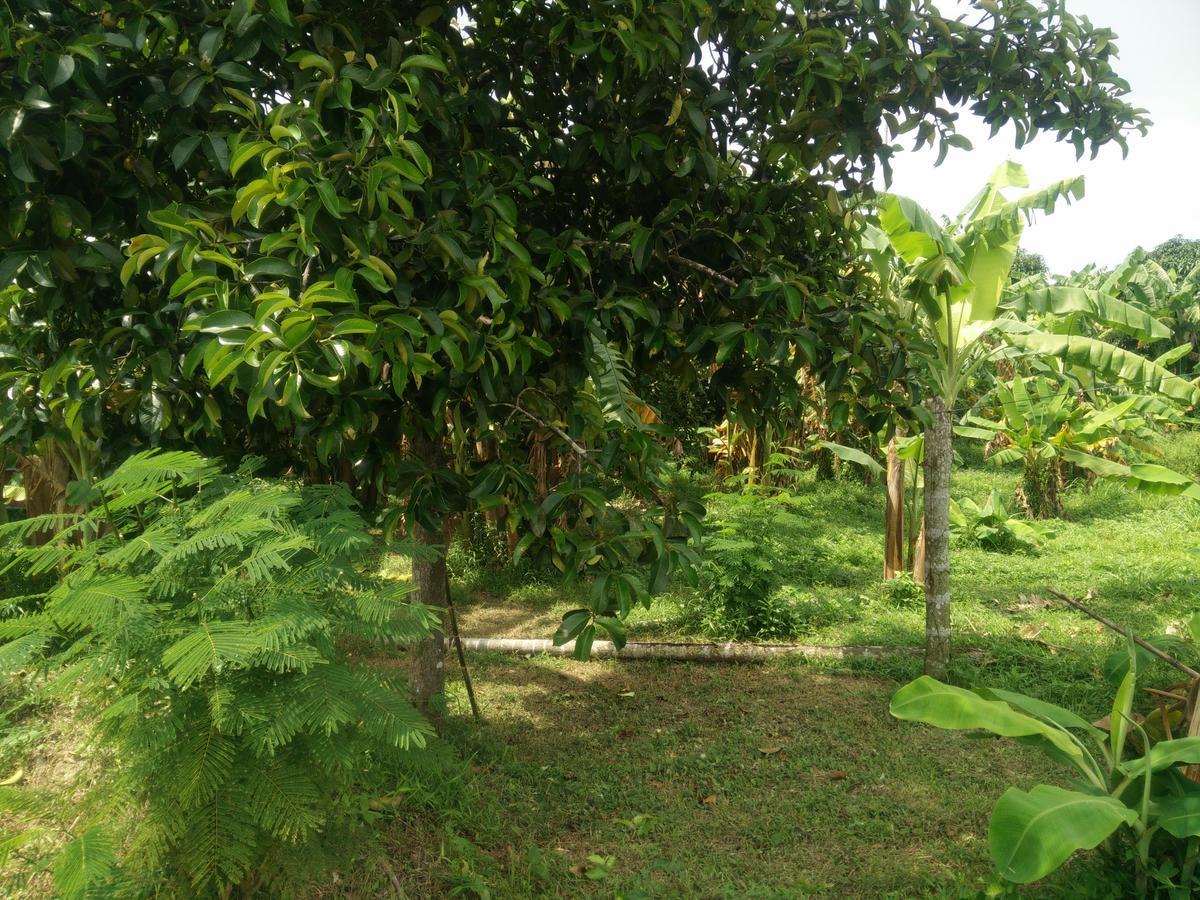 Deva Garden Resort Prachinburi Luaran gambar
