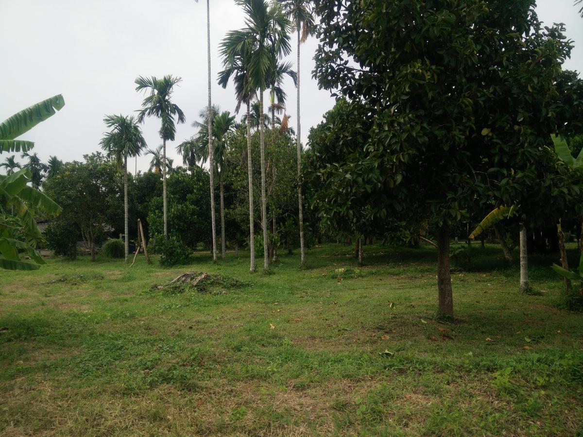 Deva Garden Resort Prachinburi Luaran gambar
