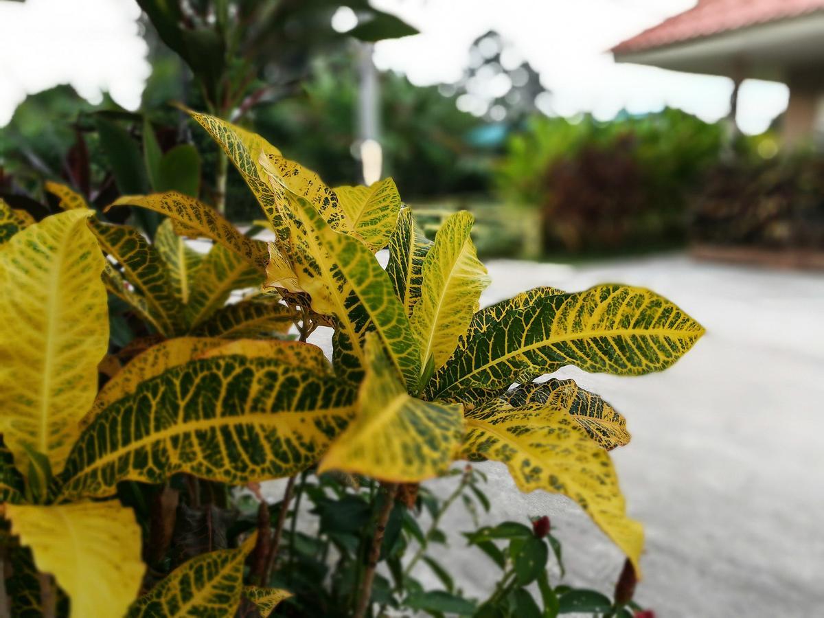 Deva Garden Resort Prachinburi Luaran gambar